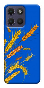 Чохол Колоски для Motorola Moto G17