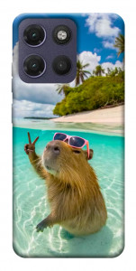 Чохол Сapybara vacation для Motorola Moto G17