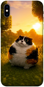 Чехол Котость для iPhone X