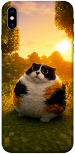 Чехол Котость для iPhone XS Max