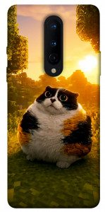 Чохол Котость для OnePlus 8
