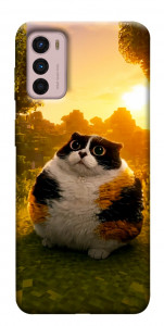 Чохол Котость для Motorola Moto G42