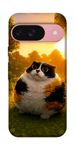 Чохол Котость для Google Pixel 9