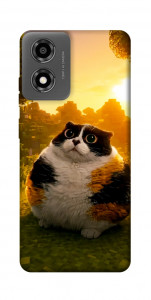 Чохол Котость для Motorola Moto E14