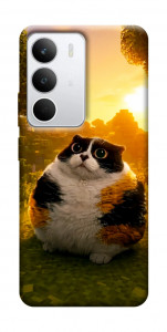 Чохол Котость для Realme C71