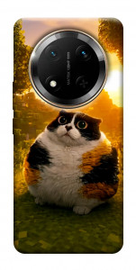 Чохол Котость для Huawei Honor X9c