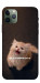 Чохол Все пропало для iPhone 11 Pro