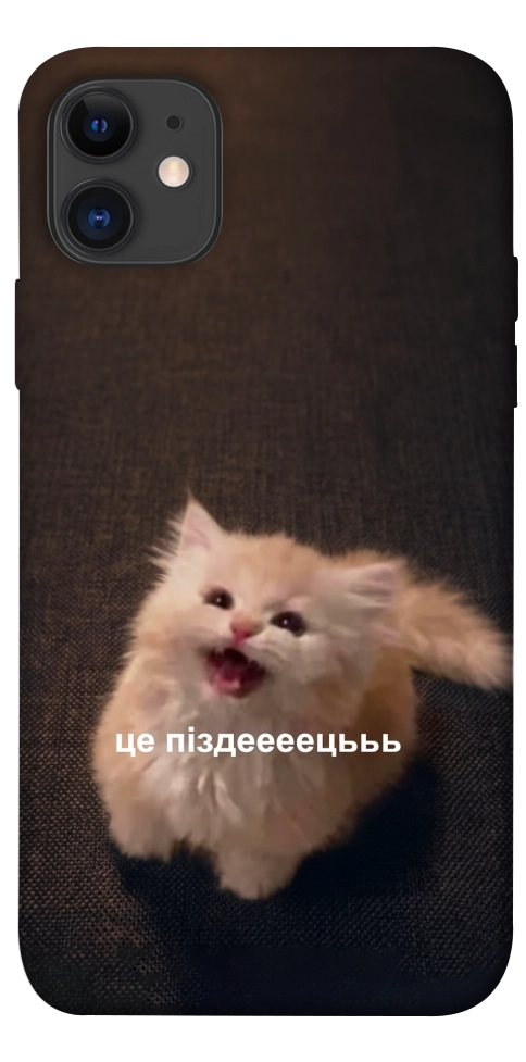 Чехол Все пропало для iPhone 11