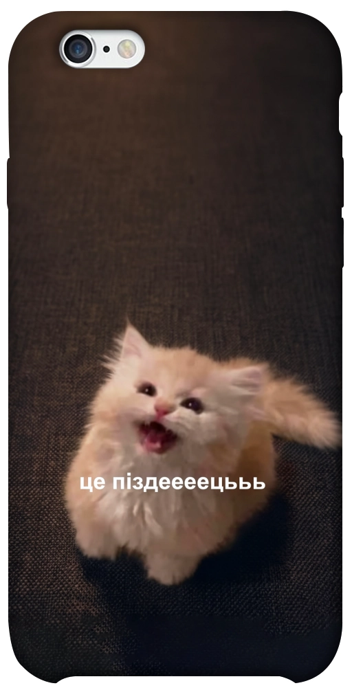 Чехол Все пропало для iPhone 6