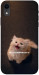Чехол Все пропало для iPhone XR