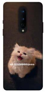 Чохол Все пропало для OnePlus 8