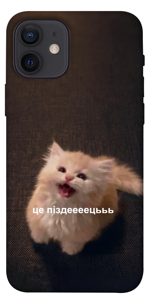 Чехол Все пропало для iPhone 12