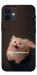 Чохол Все пропало для iPhone 12 mini