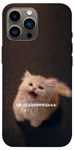 Чехол Все пропало для iPhone 12 Pro Max
