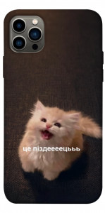 Чехол Все пропало для iPhone 12 Pro