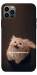 Чехол Все пропало для iPhone 12 Pro