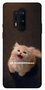 Чехол Все пропало для OnePlus 8 Pro
