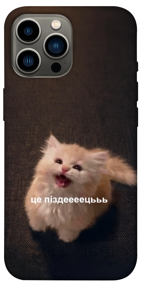 Чехол Все пропало для iPhone 13 Pro Max