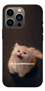 Чехол Все пропало для iPhone 13 Pro