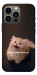 Чохол Все пропало для iPhone 13 Pro