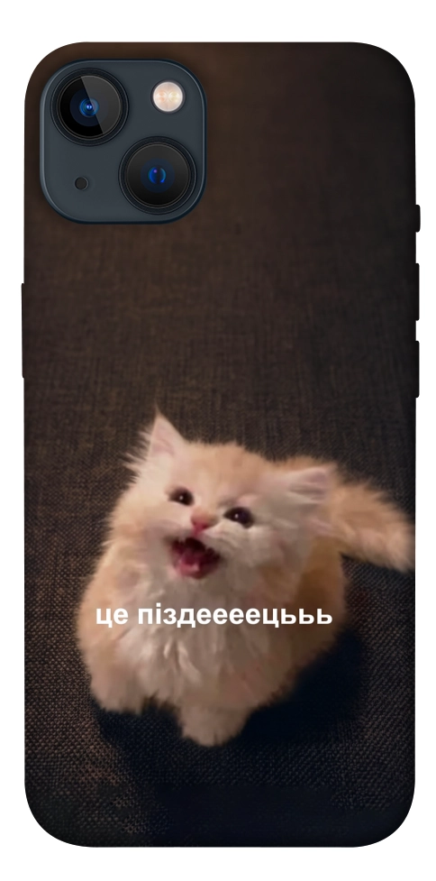 Чехол Все пропало для iPhone 13