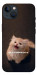 Чехол Все пропало для iPhone 13