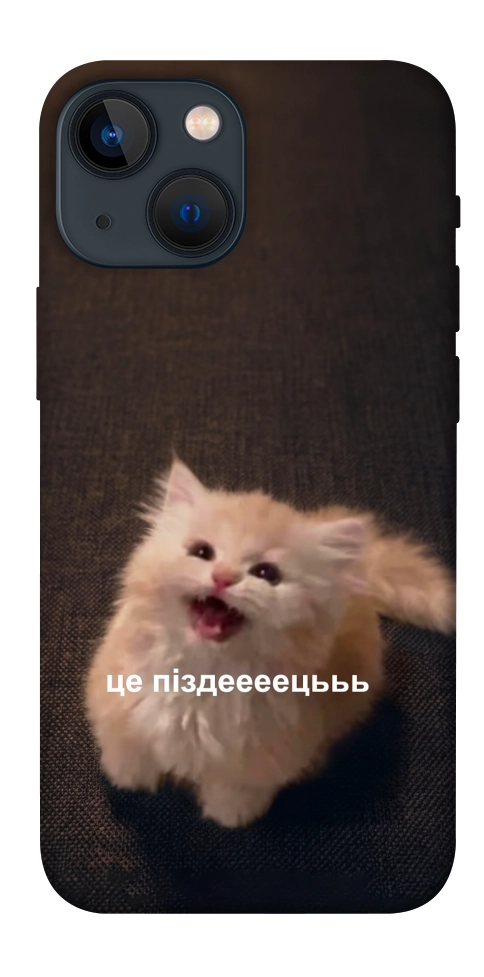 Чехол Все пропало для iPhone 13 mini