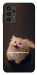 Чохол Все пропало для Galaxy A13 4G