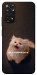 Чехол Все пропало для Xiaomi Redmi Note 11 (Global)
