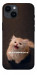Чохол Все пропало для iPhone 14