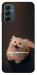 Чехол Все пропало для Galaxy M23 5G