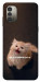 Чехол Все пропало для Nokia G11