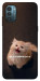 Чохол Все пропало для Nokia G21