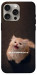 Чехол Все пропало для iPhone 15 Pro Max