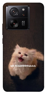 Чохол Все пропало для Xiaomi 13T Pro
