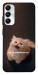 Чохол Все пропало для Galaxy A05s