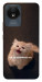 Чохол Все пропало для Vivo Y02