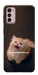 Чохол Все пропало для Motorola Moto G42