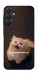 Чехол Все пропало для Galaxy A25 5G