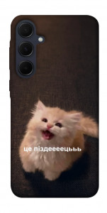 Чехол Все пропало для Galaxy A55