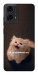 Чохол Все пропало для Motorola Moto G04