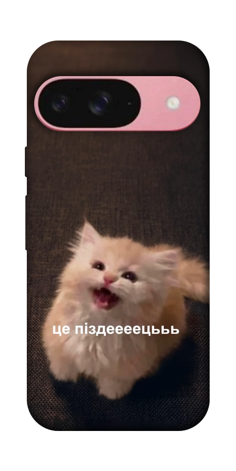 Чохол Все пропало для Google Pixel 9
