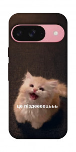 Чохол Все пропало для Google Pixel 9