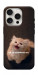 Чехол Все пропало для iPhone 16 Pro
