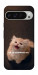 Чохол Все пропало для Google Pixel 9 Pro XL