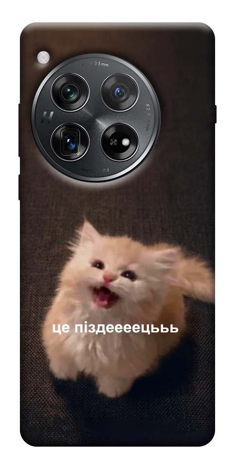 Чохол Все пропало для OnePlus 12