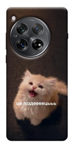 Чохол Все пропало для OnePlus 12
