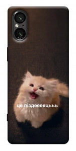 Чехол Все пропало для Sony Xperia 5 V