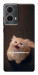 Чохол Все пропало для Motorola Moto G85