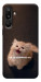 Чохол Все пропало для Galaxy M16 5G